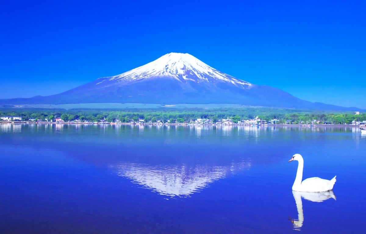Paket Wisata Jepang Mei Edisi Tour Jepang Lebaran 2020